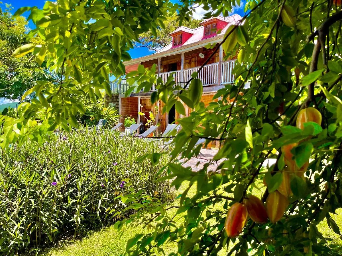 بيت ضيافة Habitation Cafeiere Samana Beausejour - Guesthouse بوانت-نوار