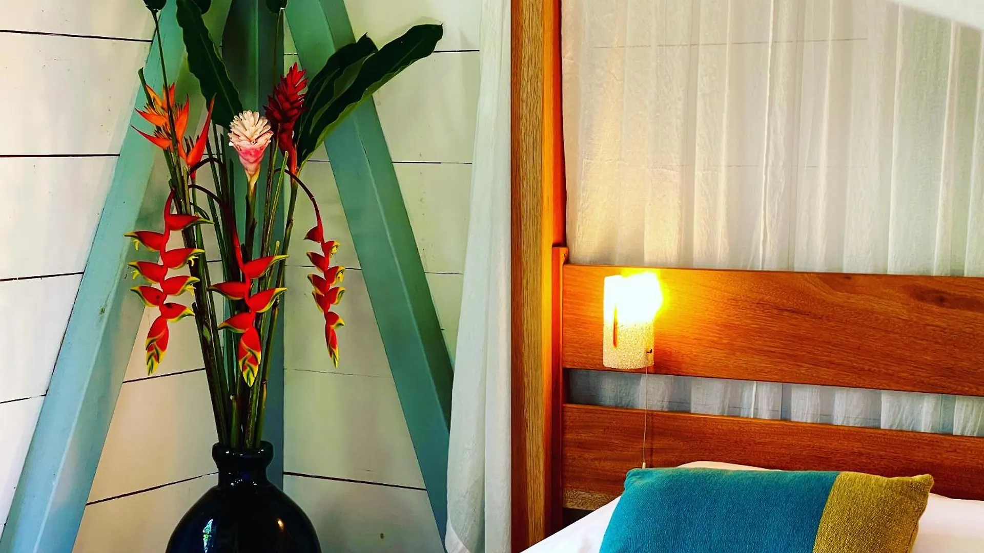Habitation Cafeiere Samana Beausejour - Guesthouse Pointe-Noire Konukevi
