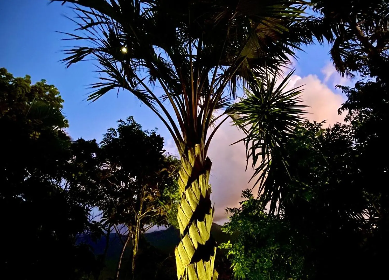 ***** Konukevi Habitation Cafeiere Samana Beausejour - Guesthouse Pointe-Noire Guadeloupe